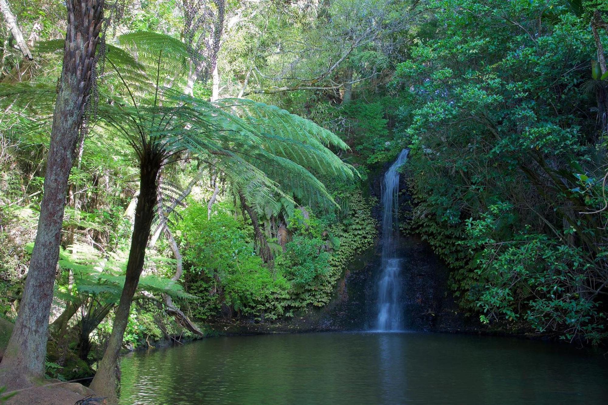 Manuka Views - Close To Thermal Hot Pools Kaukapakapa Exterior foto